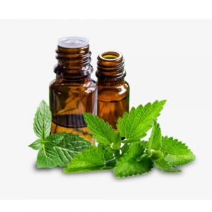 النعناع للشعر المتاسقط والخفيف