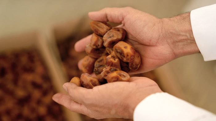 فوائد التمر