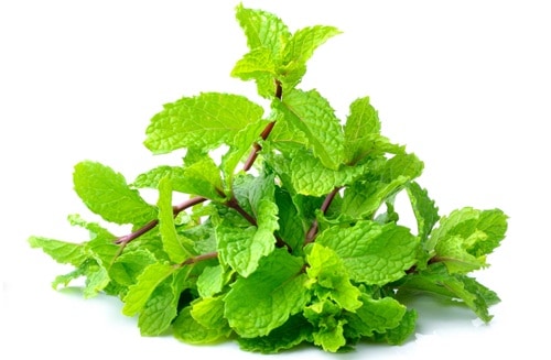 Homemade Skin Toners for Oily Skin 7