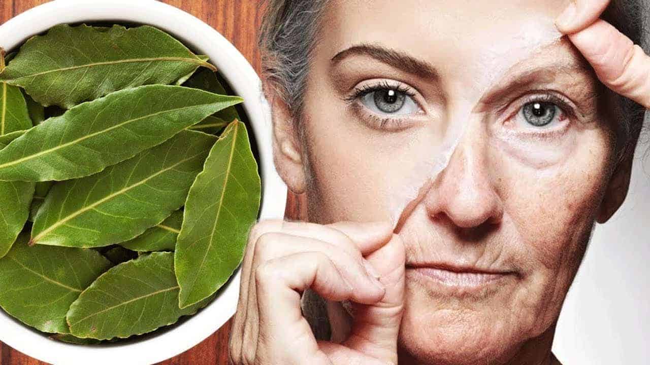 تعدت فوائده جمال المرأة.. إليك وصفات من ورق الغار للبشرة