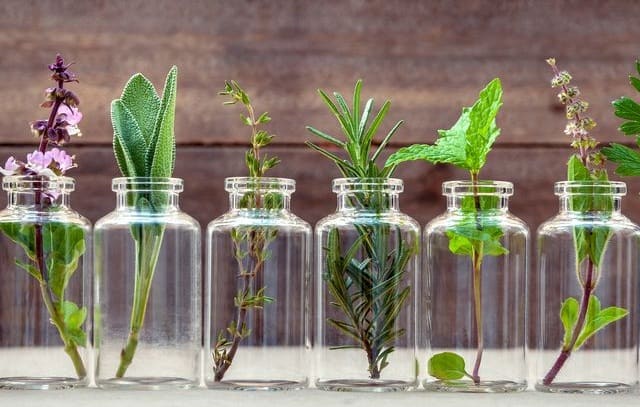 bottle of essential oil with herbs royalty free image 518782008 1550683816