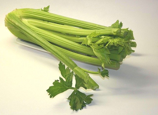 celery vegetable