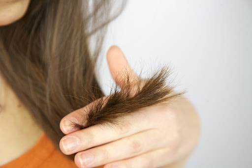 DIY - Trim Your Own Ends - Briogeo Hair Care Blog Archive |