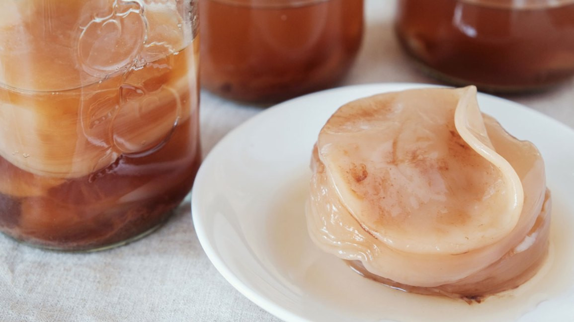 kombucha scoby 1296x728 feature1