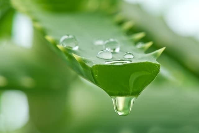 13 علاج منزلي للحموضة المعوية