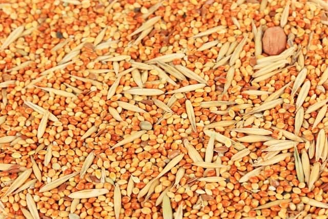 8 علاجات منزلية لخفض ضغط الدم المرتفع
